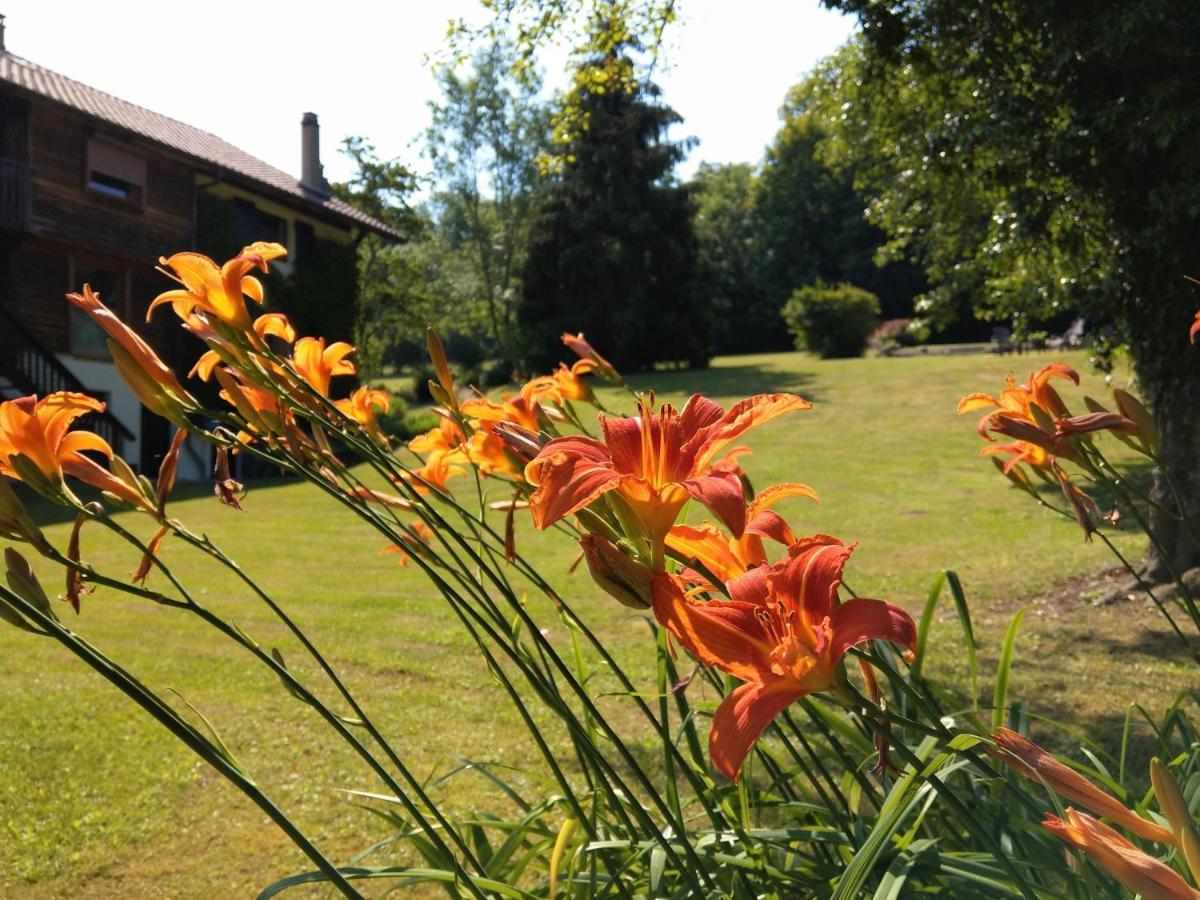 Domaine De L'Olifant Bed & Breakfast Champanges Exterior foto
