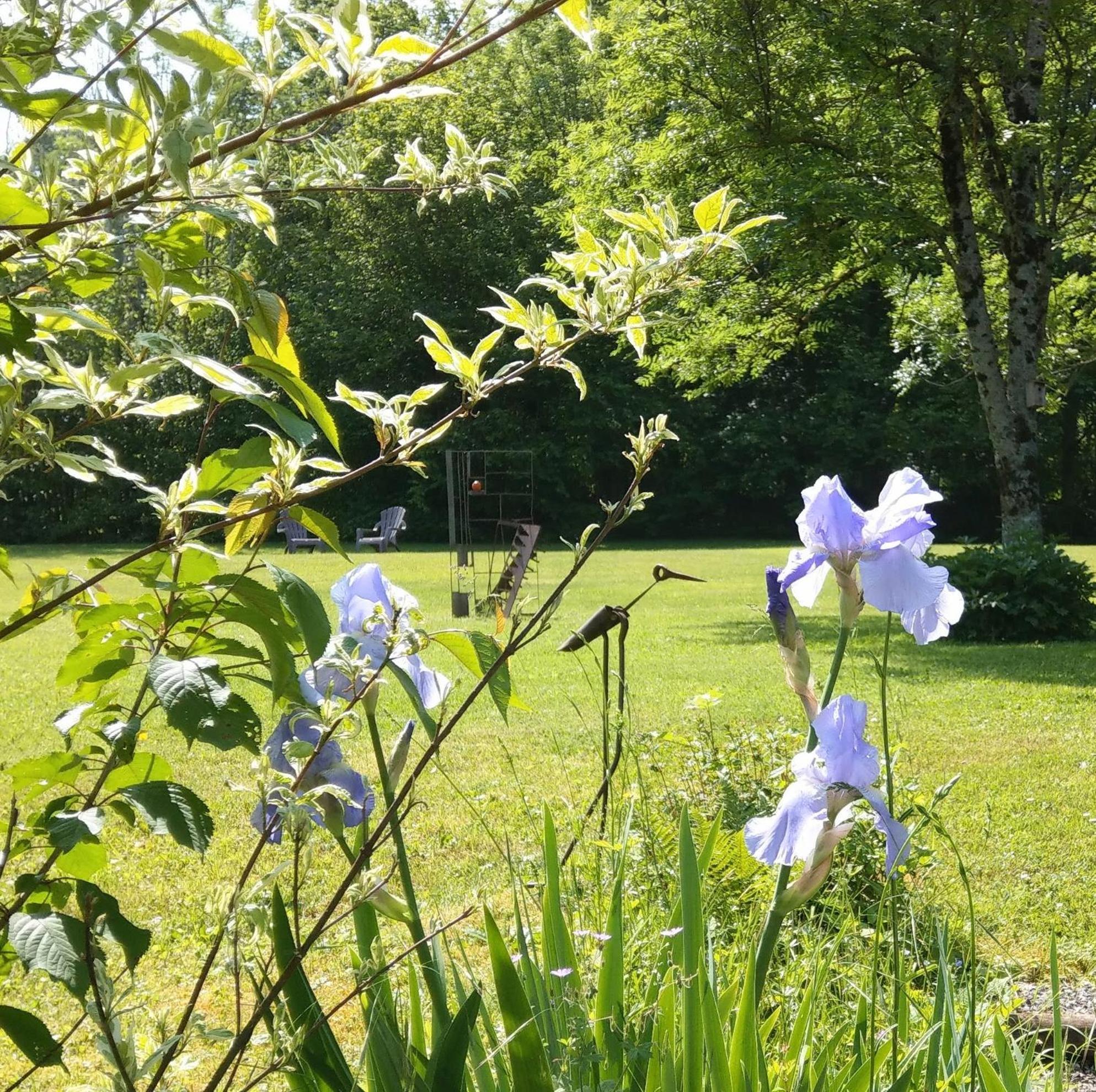 Domaine De L'Olifant Bed & Breakfast Champanges Exterior foto