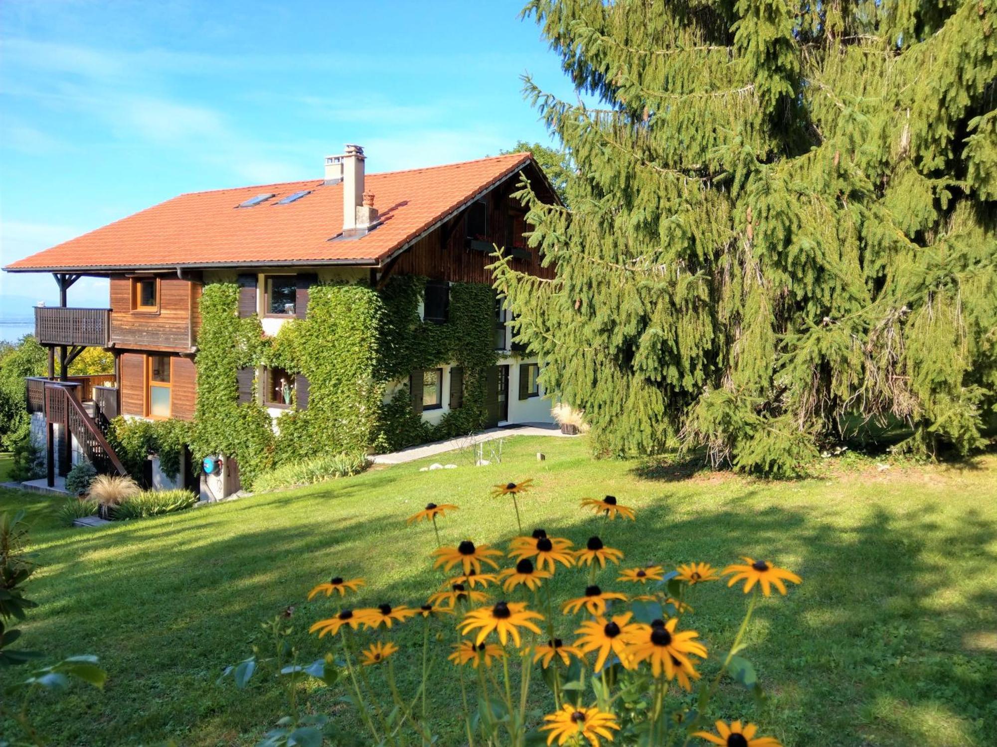 Domaine De L'Olifant Bed & Breakfast Champanges Exterior foto