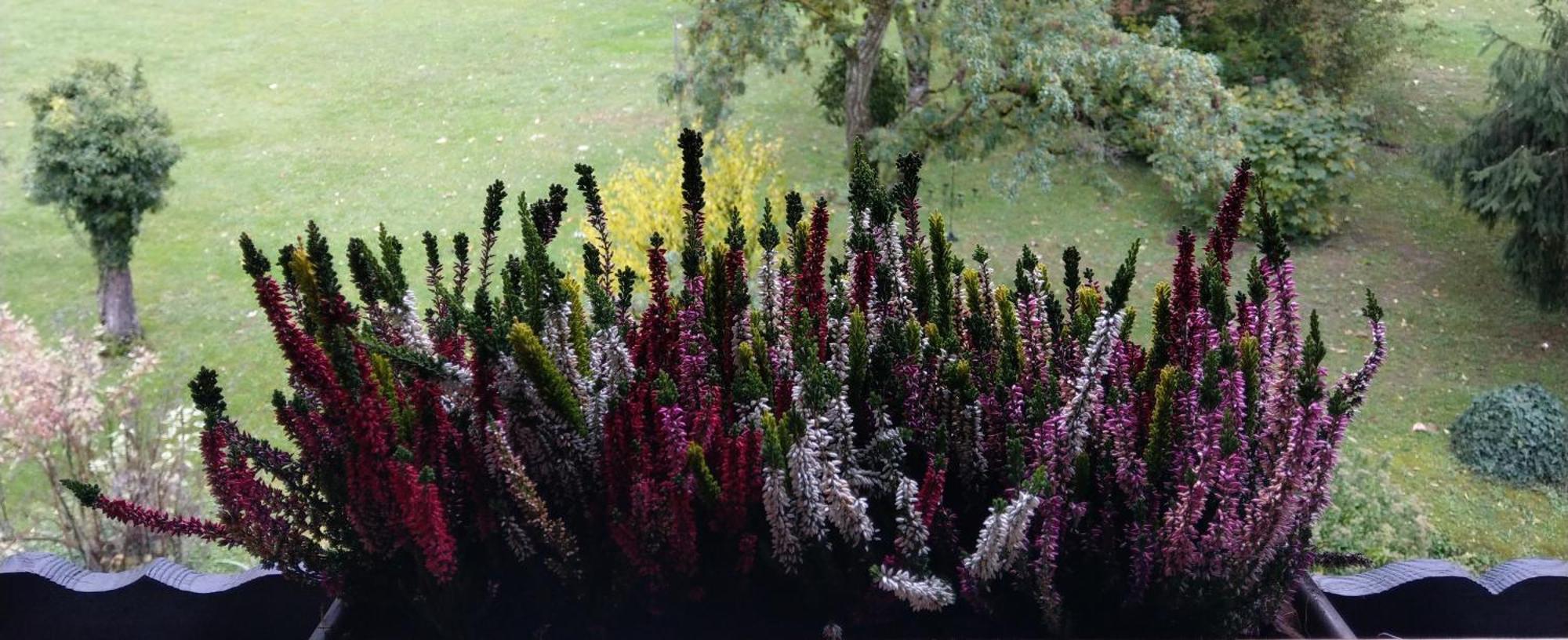 Domaine De L'Olifant Bed & Breakfast Champanges Exterior foto
