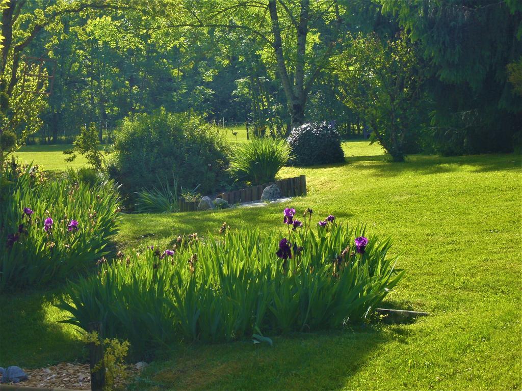 Domaine De L'Olifant Bed & Breakfast Champanges Exterior foto
