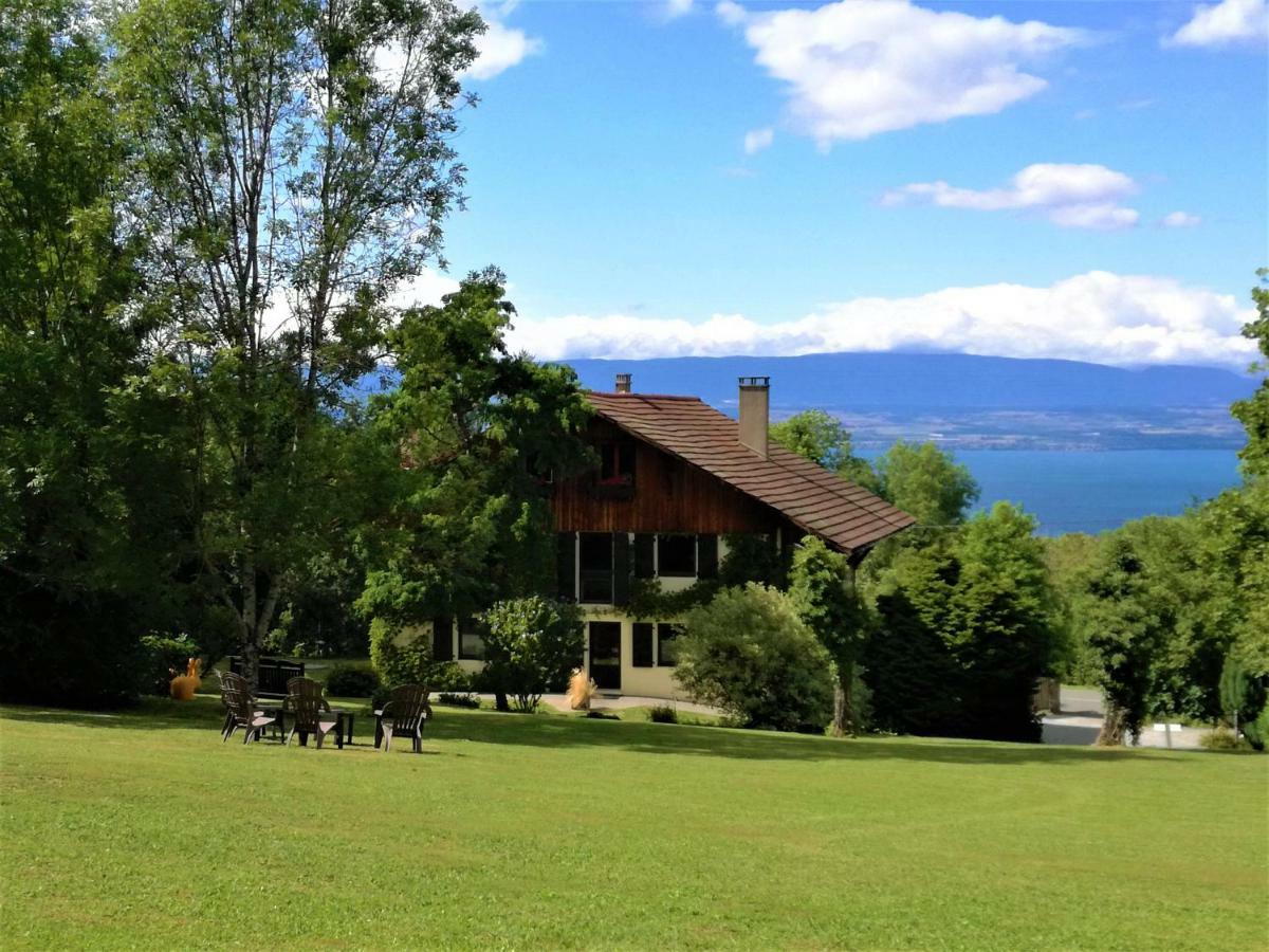 Domaine De L'Olifant Bed & Breakfast Champanges Exterior foto